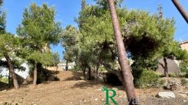 Διόνυσος, σύνορα με Εκάλη, αμφιθεατρικό οικόπεδο προς πώληση