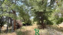 Κηφισιά, Κεφαλάρι, διατίθεται οικόπεδο προς πώληση, εξαιρετικό σημείο Κηφισιά, Κεφαλάρι, διατίθεται οικόπεδο προς πώληση, εξαιρετικό σημείο