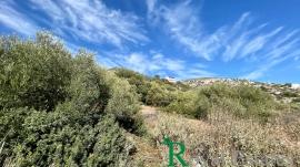 Μαραθώνας, Σχοινιάς, Δικαστικά, οικόπεδο προς πώληση, κοντά στην θάλασσα