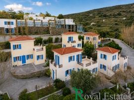Κυκλάδες, Άνδρος – Μένητες | Επενδυτικό Συγκρότημα 5 Κατοικιών, προς πώληση, με Θέα Θάλασσα