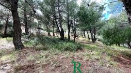 Κηφισιά, Κεφαλάρι, γωνιακό οικόπεδο προς πώληση, εξαιρετικό σημείο Κηφισιά, Κεφαλάρι, γωνιακό οικόπεδο προς πώληση, εξαιρετικό σημείο