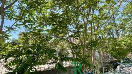 Μαρούσι, Νέα Φιλοθέη, γωνιακό οικόπεδο, προς πώληση