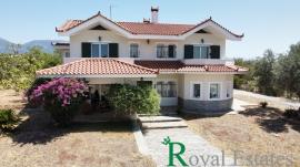 Εξαιρετική μονοκατοικία προς πώληση, στην Εύβοια, περιοχή Άγιοι Ασώματοι, Ερέτρια